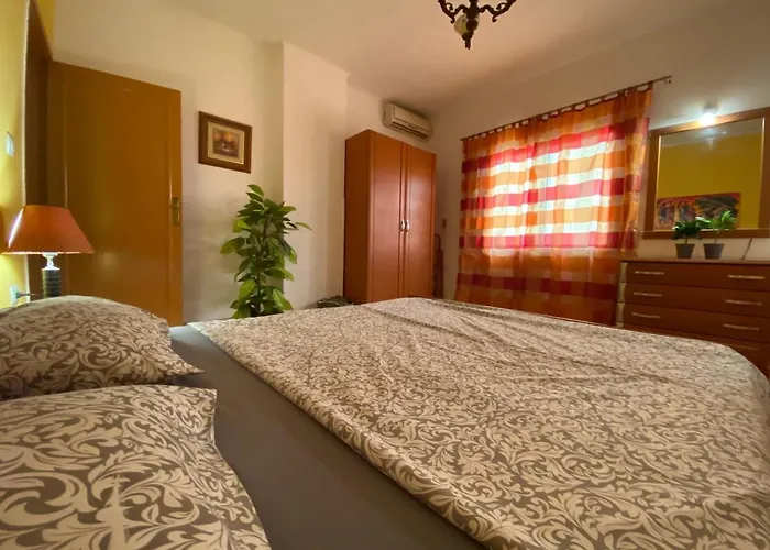 Apartment Zebra Center