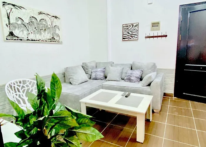 Apartment Zebra Center